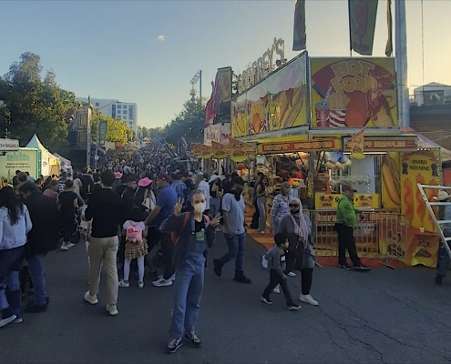 Cora auf der Landwirtschaftsmesse von Queensland (Ekka)