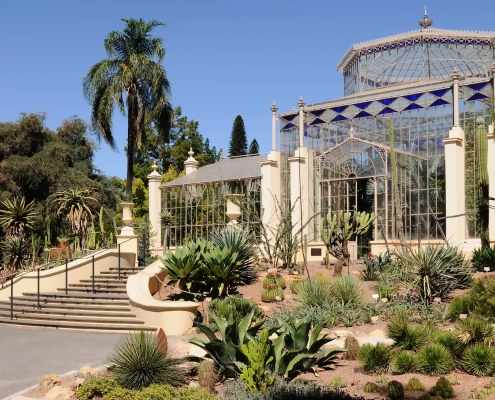Adelaide Botanic Garden