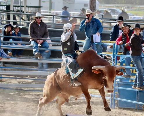 Bullenreiten beim Rodeo in Kilcoy Beim Rodeo