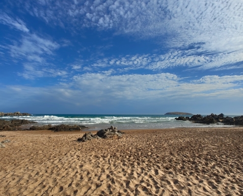 Am Ufer der Petrel Cove mit Blick auf West Island