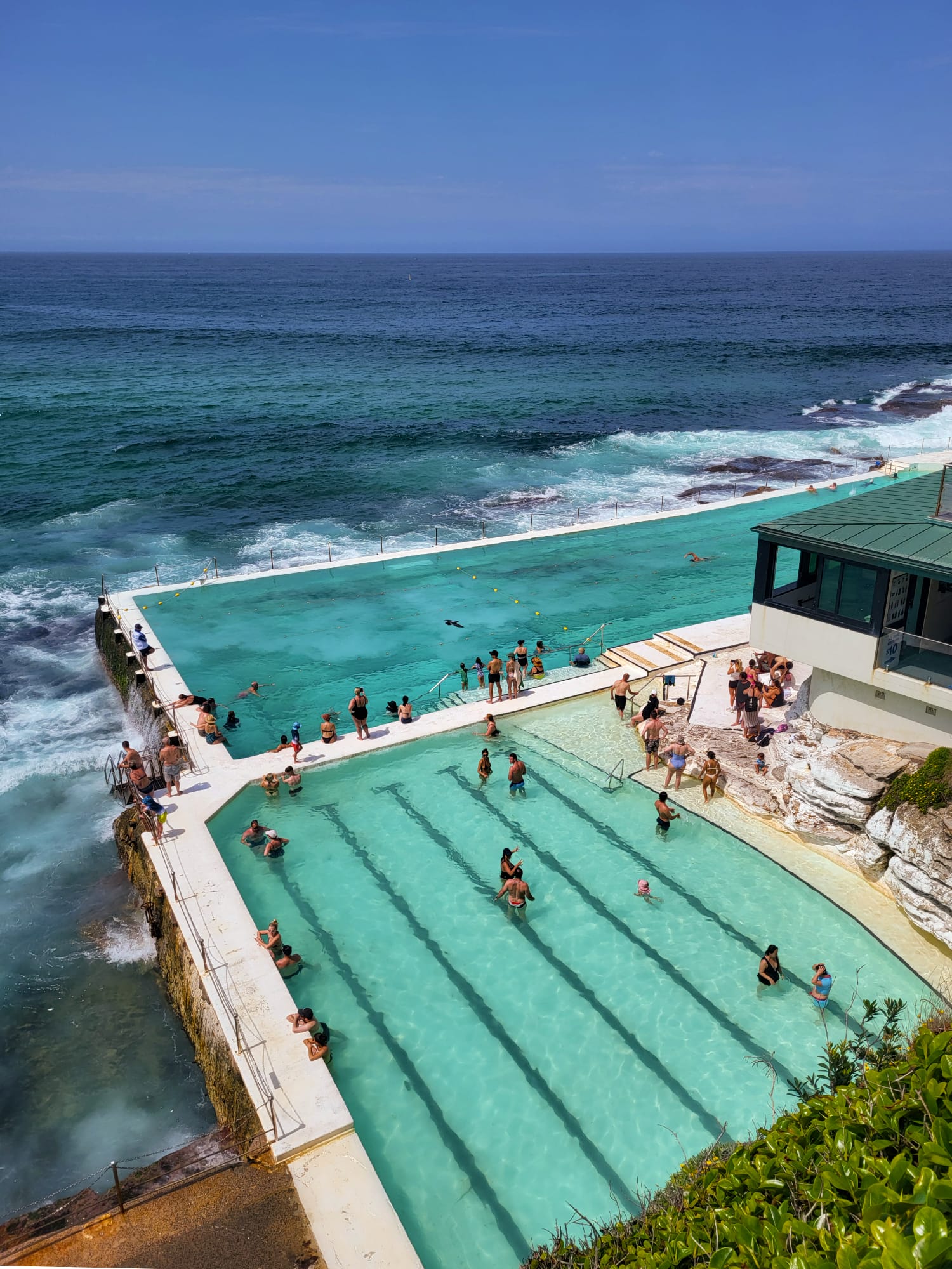 Bondi Icebergs