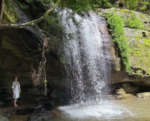 Buderim Forest Park and Falls im Hinterland der Sunshine Coast