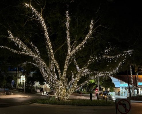 Die Hastings Street in Noosa Heads bei Nacht