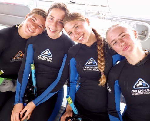 Schnorchel-Tour auf Tangalooma (Moreton Island)