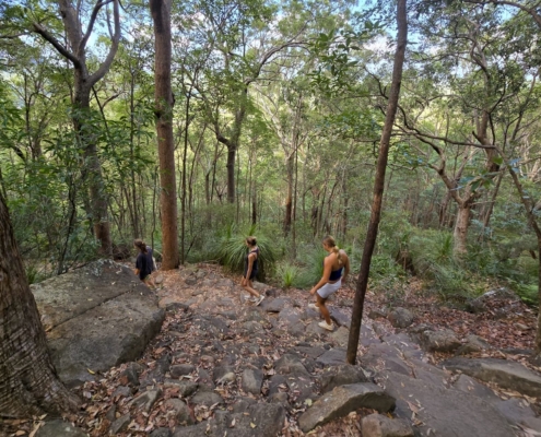Hiking auf dem Mount Coolum