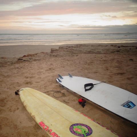 Lottas Surfboard Lottas Surfboard