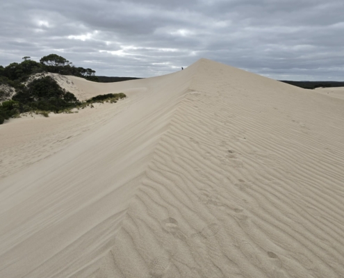 Little Sahara auf Kangaroo Island Little Sahara auf Kangaroo Island
