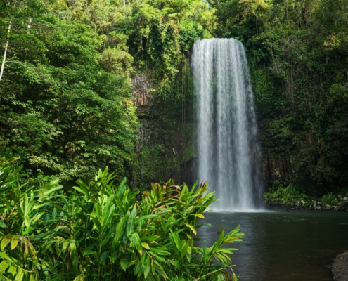Millaa Millaa Falls Millaa Millaa Falls