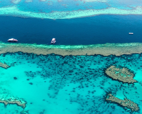 Outer Reef Plattformen Outer Reef Plattformen