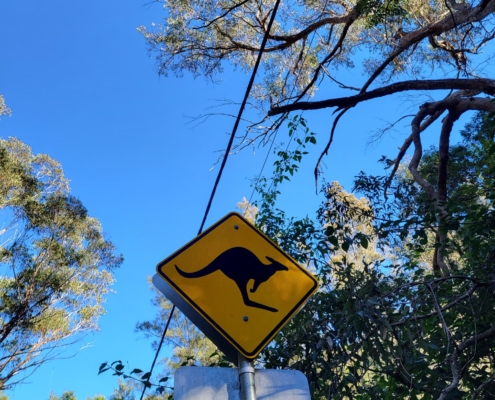 McCarrs Creek Reserve Wanderung